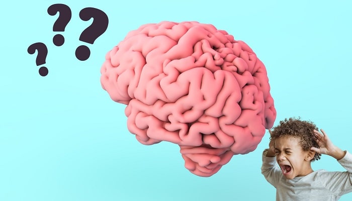 Il tuo cervello aumenta di dimensioni fino a 3 volte!!!