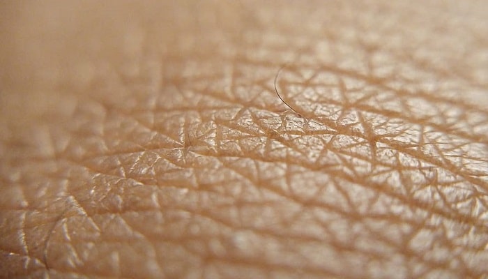 Você sabia que sua pele se renova cerca de 900 vezes durante sua vida